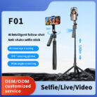 selfie gadget